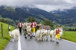 Appenzell, Appenzell Ausserrohden, Appenzeller Hinterland, Autumn, Brauchtum, Fall, Herbst, Landwirtschaft, Ostschweiz, Schweiz, Sennen, Suisse, Switzerland, Tracht, Urnaesch, Urnäsch, Viehschau, Wirtschaft, tradition