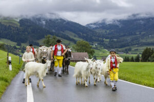 Appenzell, Appenzell Ausserrohden, Appenzeller Hinterland, Autumn, Brauchtum, Fall, Herbst, Landwirtschaft, Ostschweiz, Schweiz, Sennen, Suisse, Switzerland, Tracht, Urnaesch, Urnäsch, Viehschau, Wirtschaft, tradition