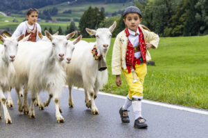 Appenzell, Appenzell Ausserrohden, Appenzeller Hinterland, Autumn, Brauchtum, Fall, Herbst, Landwirtschaft, Ostschweiz, Schweiz, Sennen, Suisse, Switzerland, Tracht, Urnaesch, Urnäsch, Viehschau, Wirtschaft, tradition
