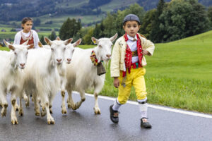 Appenzell, Appenzell Ausserrohden, Appenzeller Hinterland, Autumn, Brauchtum, Fall, Herbst, Landwirtschaft, Ostschweiz, Schweiz, Sennen, Suisse, Switzerland, Tracht, Urnaesch, Urnäsch, Viehschau, Wirtschaft, tradition