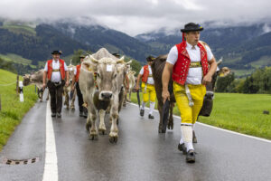 Appenzell, Appenzell Ausserrohden, Appenzeller Hinterland, Autumn, Brauchtum, Fall, Herbst, Landwirtschaft, Ostschweiz, Schweiz, Sennen, Suisse, Switzerland, Tracht, Urnaesch, Urnäsch, Viehschau, Wirtschaft, tradition
