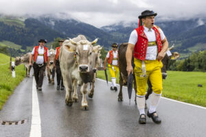Appenzell, Appenzell Ausserrohden, Appenzeller Hinterland, Autumn, Brauchtum, Fall, Herbst, Landwirtschaft, Ostschweiz, Schweiz, Sennen, Suisse, Switzerland, Tracht, Urnaesch, Urnäsch, Viehschau, Wirtschaft, tradition