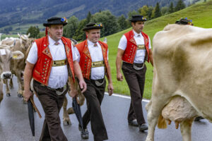 Appenzell, Appenzell Ausserrohden, Appenzeller Hinterland, Autumn, Brauchtum, Fall, Herbst, Landwirtschaft, Ostschweiz, Schweiz, Sennen, Suisse, Switzerland, Tracht, Urnaesch, Urnäsch, Viehschau, Wirtschaft, tradition