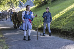 Appenzell, Appenzell Ausserrohden, Appenzeller Vorderland, Landwirtschaft, Schweiz, Suisse, Switzerland, Säntis, Tracht, Viehschau, Wald, Wald AR, Wirtschaft, tradition