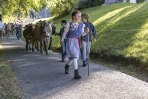 Appenzell, Appenzell Ausserrohden, Appenzeller Vorderland, Landwirtschaft, Schweiz, Suisse, Switzerland, Säntis, Tracht, Viehschau, Wald, Wald AR, Wirtschaft, tradition