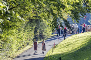 Appenzell, Appenzell Ausserrohden, Appenzeller Vorderland, Landwirtschaft, Schweiz, Suisse, Switzerland, Säntis, Tracht, Viehschau, Wald, Wald AR, Wirtschaft, tradition