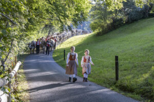 Appenzell, Appenzell Ausserrohden, Appenzeller Vorderland, Landwirtschaft, Schweiz, Suisse, Switzerland, Säntis, Tracht, Viehschau, Wald, Wald AR, Wirtschaft, tradition
