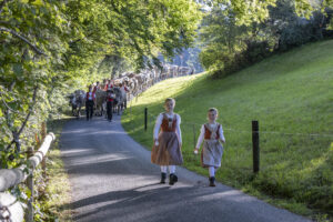 Appenzell, Appenzell Ausserrohden, Appenzeller Vorderland, Landwirtschaft, Schweiz, Suisse, Switzerland, Säntis, Tracht, Viehschau, Wald, Wald AR, Wirtschaft, tradition