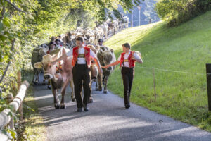 Appenzell, Appenzell Ausserrohden, Appenzeller Vorderland, Landwirtschaft, Schweiz, Suisse, Switzerland, Säntis, Tracht, Viehschau, Wald, Wald AR, Wirtschaft, tradition