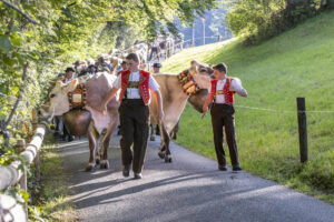 Appenzell, Appenzell Ausserrohden, Appenzeller Vorderland, Landwirtschaft, Schweiz, Suisse, Switzerland, Säntis, Tracht, Viehschau, Wald, Wald AR, Wirtschaft, tradition