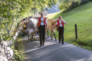 Appenzell, Appenzell Ausserrohden, Appenzeller Vorderland, Landwirtschaft, Schweiz, Suisse, Switzerland, Säntis, Tracht, Viehschau, Wald, Wald AR, Wirtschaft, tradition