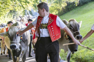 Appenzell, Appenzell Ausserrohden, Appenzeller Vorderland, Landwirtschaft, Schweiz, Suisse, Switzerland, Säntis, Tracht, Viehschau, Wald, Wald AR, Wirtschaft, tradition