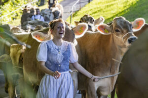 Appenzell, Appenzell Ausserrohden, Appenzeller Vorderland, Landwirtschaft, Schweiz, Suisse, Switzerland, Säntis, Tracht, Viehschau, Wald, Wald AR, Wirtschaft, tradition