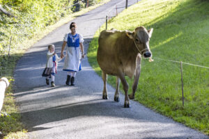 Appenzell, Appenzell Ausserrohden, Appenzeller Vorderland, Landwirtschaft, Schweiz, Suisse, Switzerland, Säntis, Tracht, Viehschau, Wald, Wald AR, Wirtschaft, tradition