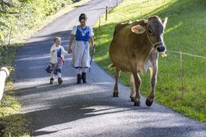 Appenzell, Appenzell Ausserrohden, Appenzeller Vorderland, Landwirtschaft, Schweiz, Suisse, Switzerland, Säntis, Tracht, Viehschau, Wald, Wald AR, Wirtschaft, tradition