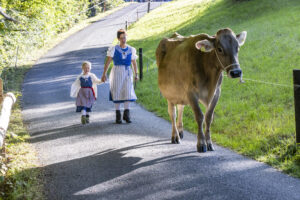 Appenzell, Appenzell Ausserrohden, Appenzeller Vorderland, Landwirtschaft, Schweiz, Suisse, Switzerland, Säntis, Tracht, Viehschau, Wald, Wald AR, Wirtschaft, tradition