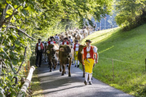 Appenzell, Appenzell Ausserrohden, Appenzeller Vorderland, Landwirtschaft, Schweiz, Suisse, Switzerland, Säntis, Tracht, Viehschau, Wald, Wald AR, Wirtschaft, tradition