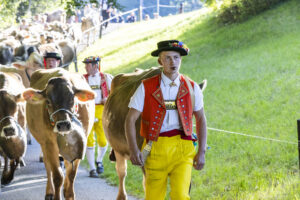 Appenzell, Appenzell Ausserrohden, Appenzeller Vorderland, Landwirtschaft, Schweiz, Suisse, Switzerland, Säntis, Tracht, Viehschau, Wald, Wald AR, Wirtschaft, tradition