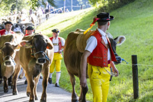 Appenzell, Appenzell Ausserrohden, Appenzeller Vorderland, Landwirtschaft, Schweiz, Suisse, Switzerland, Säntis, Tracht, Viehschau, Wald, Wald AR, Wirtschaft, tradition