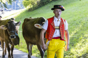 Appenzell, Appenzell Ausserrohden, Appenzeller Vorderland, Landwirtschaft, Schweiz, Suisse, Switzerland, Säntis, Tracht, Viehschau, Wald, Wald AR, Wirtschaft, tradition