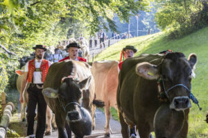 Appenzell, Appenzell Ausserrohden, Appenzeller Vorderland, Landwirtschaft, Schweiz, Suisse, Switzerland, Säntis, Tracht, Viehschau, Wald, Wald AR, Wirtschaft, tradition