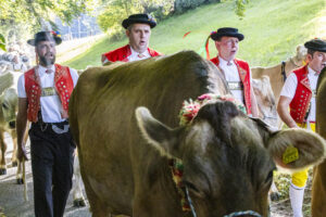 Appenzell, Appenzell Ausserrohden, Appenzeller Vorderland, Landwirtschaft, Schweiz, Suisse, Switzerland, Säntis, Tracht, Viehschau, Wald, Wald AR, Wirtschaft, tradition