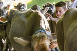 Appenzell, Appenzell Ausserrohden, Appenzeller Vorderland, Landwirtschaft, Schweiz, Suisse, Switzerland, Säntis, Tracht, Viehschau, Wald, Wald AR, Wirtschaft, tradition