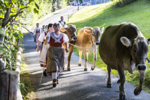 Appenzell, Appenzell Ausserrohden, Appenzeller Vorderland, Landwirtschaft, Schweiz, Suisse, Switzerland, Säntis, Tracht, Viehschau, Wald, Wald AR, Wirtschaft, tradition