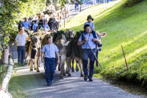 Appenzell, Appenzell Ausserrohden, Appenzeller Vorderland, Landwirtschaft, Schweiz, Suisse, Switzerland, Säntis, Tracht, Viehschau, Wald, Wald AR, Wirtschaft, tradition