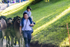 Appenzell, Appenzell Ausserrohden, Appenzeller Vorderland, Landwirtschaft, Schweiz, Suisse, Switzerland, Säntis, Tracht, Viehschau, Wald, Wald AR, Wirtschaft, tradition