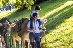 Appenzell, Appenzell Ausserrohden, Appenzeller Vorderland, Landwirtschaft, Schweiz, Suisse, Switzerland, Säntis, Tracht, Viehschau, Wald, Wald AR, Wirtschaft, tradition