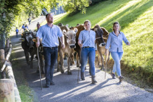 Appenzell, Appenzell Ausserrohden, Appenzeller Vorderland, Landwirtschaft, Schweiz, Suisse, Switzerland, Säntis, Tracht, Viehschau, Wald, Wald AR, Wirtschaft, tradition