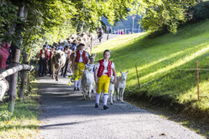 Appenzell, Appenzell Ausserrohden, Appenzeller Vorderland, Landwirtschaft, Schweiz, Suisse, Switzerland, Säntis, Tracht, Viehschau, Wald, Wald AR, Wirtschaft, tradition