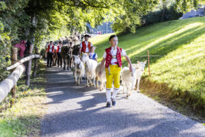 Appenzell, Appenzell Ausserrohden, Appenzeller Vorderland, Landwirtschaft, Schweiz, Suisse, Switzerland, Säntis, Tracht, Viehschau, Wald, Wald AR, Wirtschaft, tradition