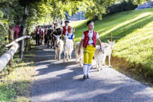 Appenzell, Appenzell Ausserrohden, Appenzeller Vorderland, Landwirtschaft, Schweiz, Suisse, Switzerland, Säntis, Tracht, Viehschau, Wald, Wald AR, Wirtschaft, tradition