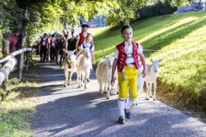 Appenzell, Appenzell Ausserrohden, Appenzeller Vorderland, Landwirtschaft, Schweiz, Suisse, Switzerland, Säntis, Tracht, Viehschau, Wald, Wald AR, Wirtschaft, tradition