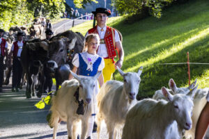 Appenzell, Appenzell Ausserrohden, Appenzeller Vorderland, Landwirtschaft, Schweiz, Suisse, Switzerland, Säntis, Tracht, Viehschau, Wald, Wald AR, Wirtschaft, tradition