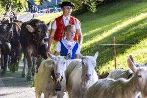 Appenzell, Appenzell Ausserrohden, Appenzeller Vorderland, Landwirtschaft, Schweiz, Suisse, Switzerland, Säntis, Tracht, Viehschau, Wald, Wald AR, Wirtschaft, tradition