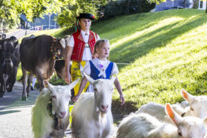 Appenzell, Appenzell Ausserrohden, Appenzeller Vorderland, Landwirtschaft, Schweiz, Suisse, Switzerland, Säntis, Tracht, Viehschau, Wald, Wald AR, Wirtschaft, tradition