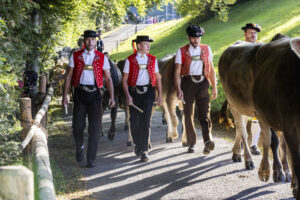 Appenzell, Appenzell Ausserrohden, Appenzeller Vorderland, Landwirtschaft, Schweiz, Suisse, Switzerland, Säntis, Tracht, Viehschau, Wald, Wald AR, Wirtschaft, tradition
