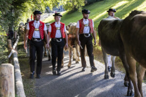 Appenzell, Appenzell Ausserrohden, Appenzeller Vorderland, Landwirtschaft, Schweiz, Suisse, Switzerland, Säntis, Tracht, Viehschau, Wald, Wald AR, Wirtschaft, tradition