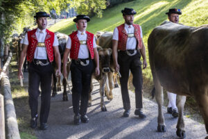 Appenzell, Appenzell Ausserrohden, Appenzeller Vorderland, Landwirtschaft, Schweiz, Suisse, Switzerland, Säntis, Tracht, Viehschau, Wald, Wald AR, Wirtschaft, tradition