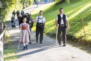 Appenzell, Appenzell Ausserrohden, Appenzeller Vorderland, Landwirtschaft, Schweiz, Suisse, Switzerland, Säntis, Tracht, Viehschau, Wald, Wald AR, Wirtschaft, tradition