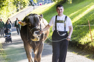Appenzell, Appenzell Ausserrohden, Appenzeller Vorderland, Landwirtschaft, Schweiz, Suisse, Switzerland, Säntis, Tracht, Viehschau, Wald, Wald AR, Wirtschaft, tradition