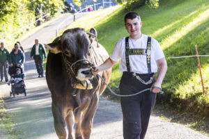 Appenzell, Appenzell Ausserrohden, Appenzeller Vorderland, Landwirtschaft, Schweiz, Suisse, Switzerland, Säntis, Tracht, Viehschau, Wald, Wald AR, Wirtschaft, tradition