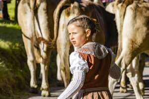 Appenzell, Appenzell Ausserrohden, Appenzeller Vorderland, Landwirtschaft, Schweiz, Suisse, Switzerland, Säntis, Tracht, Viehschau, Wald, Wald AR, Wirtschaft, tradition