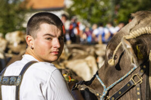 Appenzell, Appenzell Ausserrohden, Appenzeller Vorderland, Landwirtschaft, Schweiz, Suisse, Switzerland, Säntis, Tracht, Viehschau, Wald, Wald AR, Wirtschaft, tradition