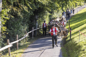 Appenzell, Appenzell Ausserrohden, Appenzeller Vorderland, Landwirtschaft, Schweiz, Suisse, Switzerland, Säntis, Tracht, Viehschau, Wald, Wald AR, Wirtschaft, tradition