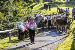 Appenzell, Appenzell Ausserrohden, Appenzeller Vorderland, Landwirtschaft, Schweiz, Suisse, Switzerland, Säntis, Tracht, Viehschau, Wald, Wald AR, Wirtschaft, tradition