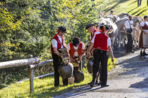 Appenzell, Appenzell Ausserrohden, Appenzeller Vorderland, Landwirtschaft, Schweiz, Suisse, Switzerland, Säntis, Tracht, Viehschau, Wald, Wald AR, Wirtschaft, tradition